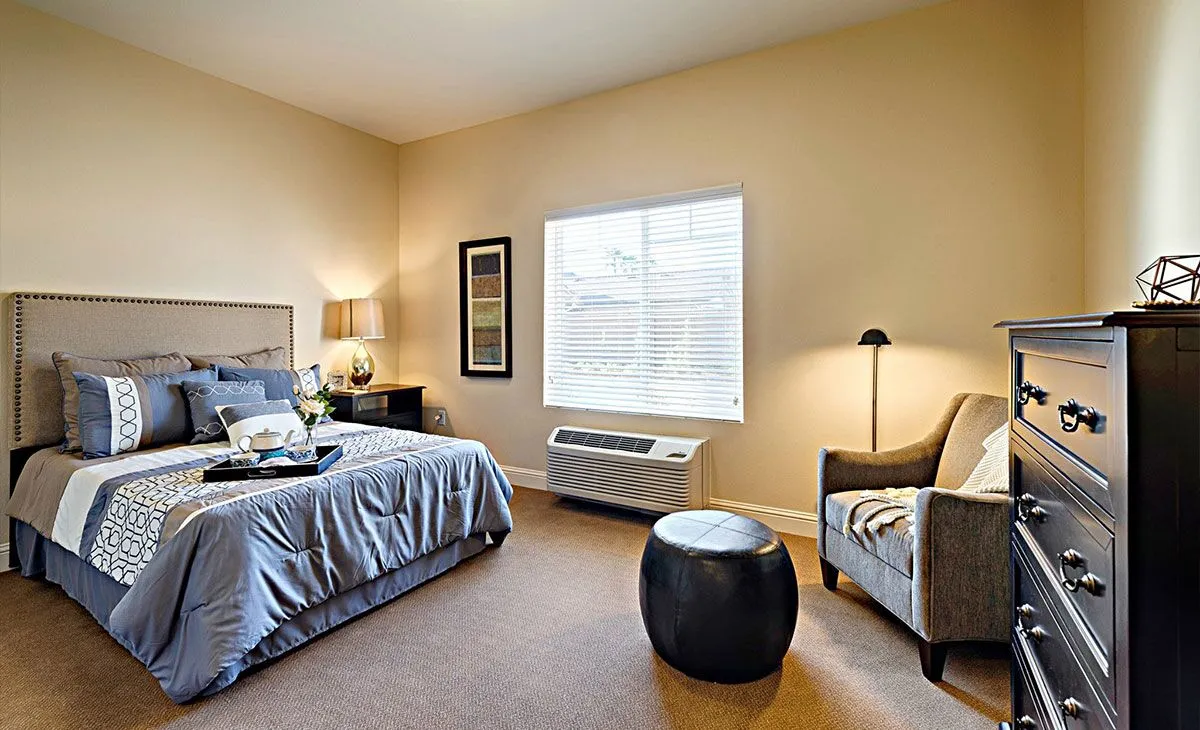 Luxury 1 Bedroom Apartment